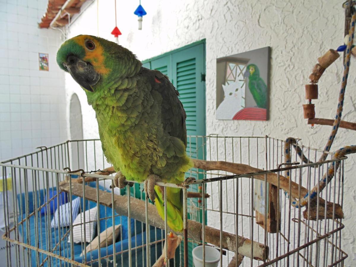 Hostel Maresias Do Leme 里约热内卢 外观 照片